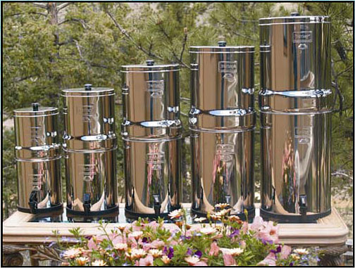 Berkley Water Purifier